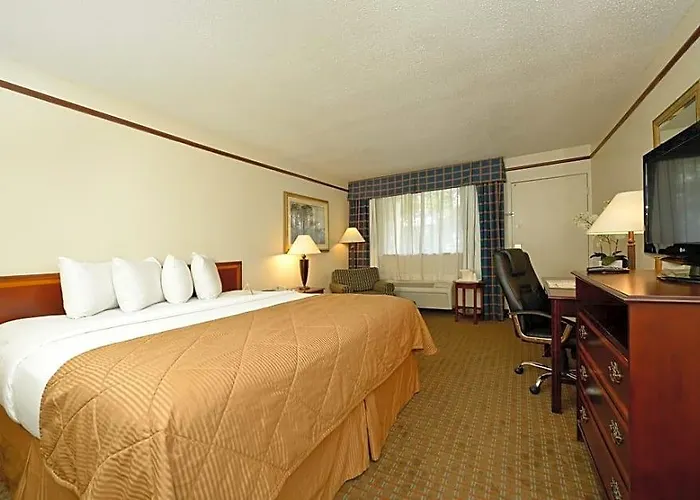 Budget Lodge - Fort Sam
